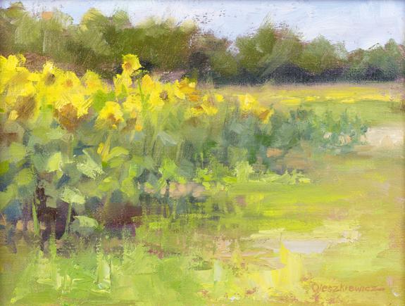 Field of Sunflowers